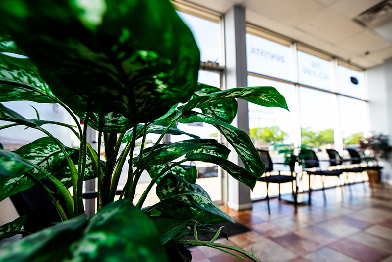 dental starz facility